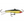 Rapala Jigging Rap W7-Rapala-Wind Rose North Ltd. Outfitters