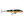 Rapala Jointed J-11-Rapala-Wind Rose North Ltd. Outfitters