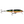 Rapala Jointed J-9-Rapala-Wind Rose North Ltd. Outfitters