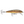 Rapala Original Floating F-13-Rapala-Wind Rose North Ltd. Outfitters