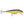 Rapala Original Floating F-13-Rapala-Wind Rose North Ltd. Outfitters