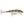 Rapala Original Floating F-13-Rapala-Wind Rose North Ltd. Outfitters