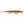 Rapala Original Floating F-18-Rapala-Wind Rose North Ltd. Outfitters