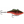 Rapala Rattlin' RNR-5-Rapala-Wind Rose North Ltd. Outfitters