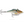 Rapala Rattlin' RNR-5-Rapala-Wind Rose North Ltd. Outfitters