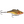 Rapala Rattlin' RNR-5-Rapala-Wind Rose North Ltd. Outfitters