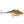 Rapala Rattlin' RNR-7-Rapala-Wind Rose North Ltd. Outfitters