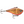 Rapala Rippin' Rap RPR-5-Rapala-Wind Rose North Ltd. Outfitters