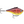 Rapala Rippin' Rap RPR-5-Rapala-Wind Rose North Ltd. Outfitters