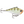 Rapala Rippin' Rap RPR-5-Rapala-Wind Rose North Ltd. Outfitters