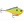 Rapala Rippin' Rap RPR-6-Rapala-Wind Rose North Ltd. Outfitters