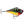 Rapala Rippin' Rap RPR-6-Rapala-Wind Rose North Ltd. Outfitters