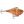 Rapala Rippin' Rap RPR-7-Rapala-Wind Rose North Ltd. Outfitters