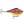 Rapala Rippin' Rap RPR-7-Rapala-Wind Rose North Ltd. Outfitters