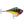 Rapala Rippin' Rap RPR-7-Rapala-Wind Rose North Ltd. Outfitters