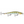 Rapala Ripstop RPS-12-Rapala-Wind Rose North Ltd. Outfitters