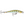 Rapala Ripstop RPS-9-Rapala-Wind Rose North Ltd. Outfitters