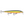 Rapala Scatter Rap Minnow SCRM-11-Rapala-Wind Rose North Ltd. Outfitters
