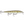 Rapala Scatter Rap Minnow SCRM-11-Rapala-Wind Rose North Ltd. Outfitters