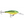 Rapala Shad Rap SR-5-Rapala-Wind Rose North Ltd. Outfitters