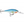 Rapala Shad Rap SR-5-Rapala-Wind Rose North Ltd. Outfitters