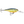 Rapala Shad Rap SR-5-Rapala-Wind Rose North Ltd. Outfitters