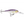 Rapala Shad Rap SR-5-Rapala-Wind Rose North Ltd. Outfitters