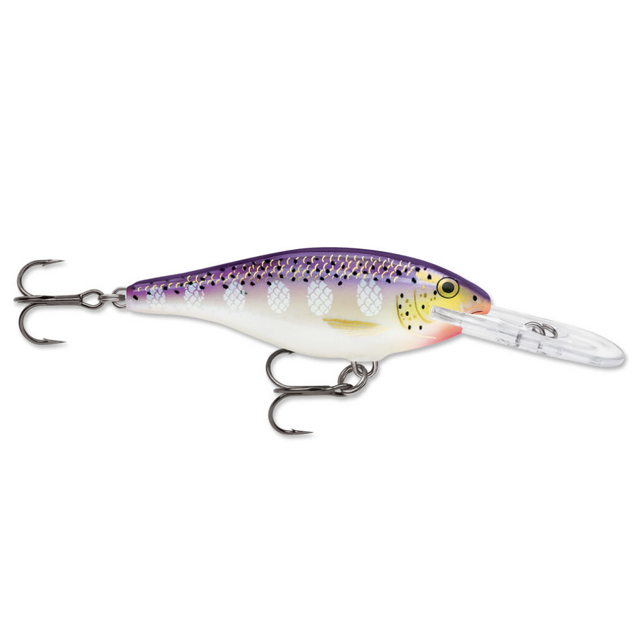 Rapala Shad Rap 05 Fishing Lure, 2-inch, Helsinki Shad : : Sports,  Fitness & Outdoors