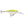 Rapala Shad Rap SR-5-Rapala-Wind Rose North Ltd. Outfitters
