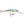 Rapala Shad Rap SR-7-Rapala-Wind Rose North Ltd. Outfitters