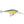 Rapala Shad Rap SR-7-Rapala-Wind Rose North Ltd. Outfitters