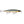 Rapala Shadow Rap Deep SDRD-11-Rapala-Wind Rose North Ltd. Outfitters