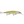 Rapala Shadow Rap Deep SDRD-11-Rapala-Wind Rose North Ltd. Outfitters