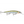 Rapala Shadow Rap Deep SDRD-11-Rapala-Wind Rose North Ltd. Outfitters