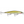 Rapala Shadow Rap SDR-11-Rapala-Wind Rose North Ltd. Outfitters