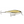 Rapala Super Shad Rap SSR-14-Rapala-Wind Rose North Ltd. Outfitters