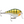 Rapala Super Shad Rap SSR-14-Rapala-Wind Rose North Ltd. Outfitters