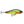 Rapala Super Shadow Rap SSDR-16-Rapala-Wind Rose North Ltd. Outfitters