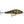 Rapala Super Shadow Rap SSDR-16-Rapala-Wind Rose North Ltd. Outfitters