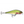 Rapala Super Shadow Rap SSDR-16-Rapala-Wind Rose North Ltd. Outfitters