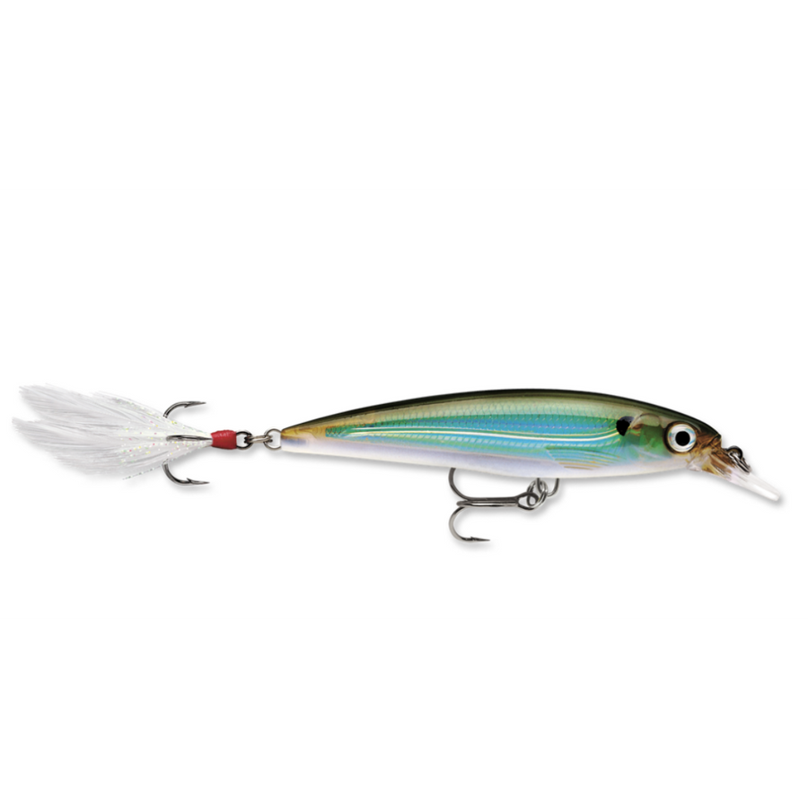 Rapala X-Rap XR-10-Rapala-Wind Rose North Ltd. Outfitters