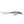 Rapala X-Rap XR-8-Rapala-Wind Rose North Ltd. Outfitters