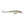 Rapala X-Rap XR-8-Rapala-Wind Rose North Ltd. Outfitters