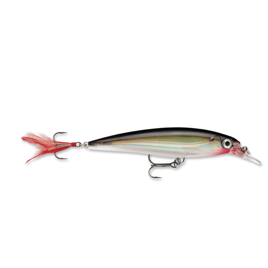 Rapala X-Rap XR-8-Rapala-Wind Rose North Ltd. Outfitters