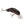 Rebel Teeny Wee-Crawfish-Rebel-Wind Rose North Ltd. Outfitters