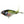River2Sea Whopper Plopper-River2Sea-Wind Rose North Ltd. Outfitters