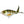 River2Sea Whopper Plopper-River2Sea-Wind Rose North Ltd. Outfitters