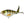 River2Sea Whopper Plopper-River2Sea-Wind Rose North Ltd. Outfitters