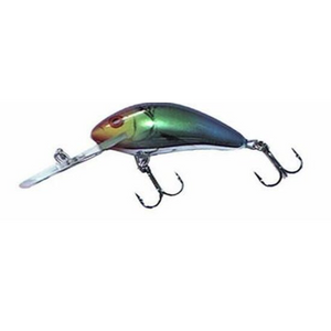 Salmo Hornet Floating 4-Salmo Hornet-Wind Rose North Ltd. Outfitters