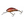 Salmo Hornet Floating 4-Salmo Hornet-Wind Rose North Ltd. Outfitters